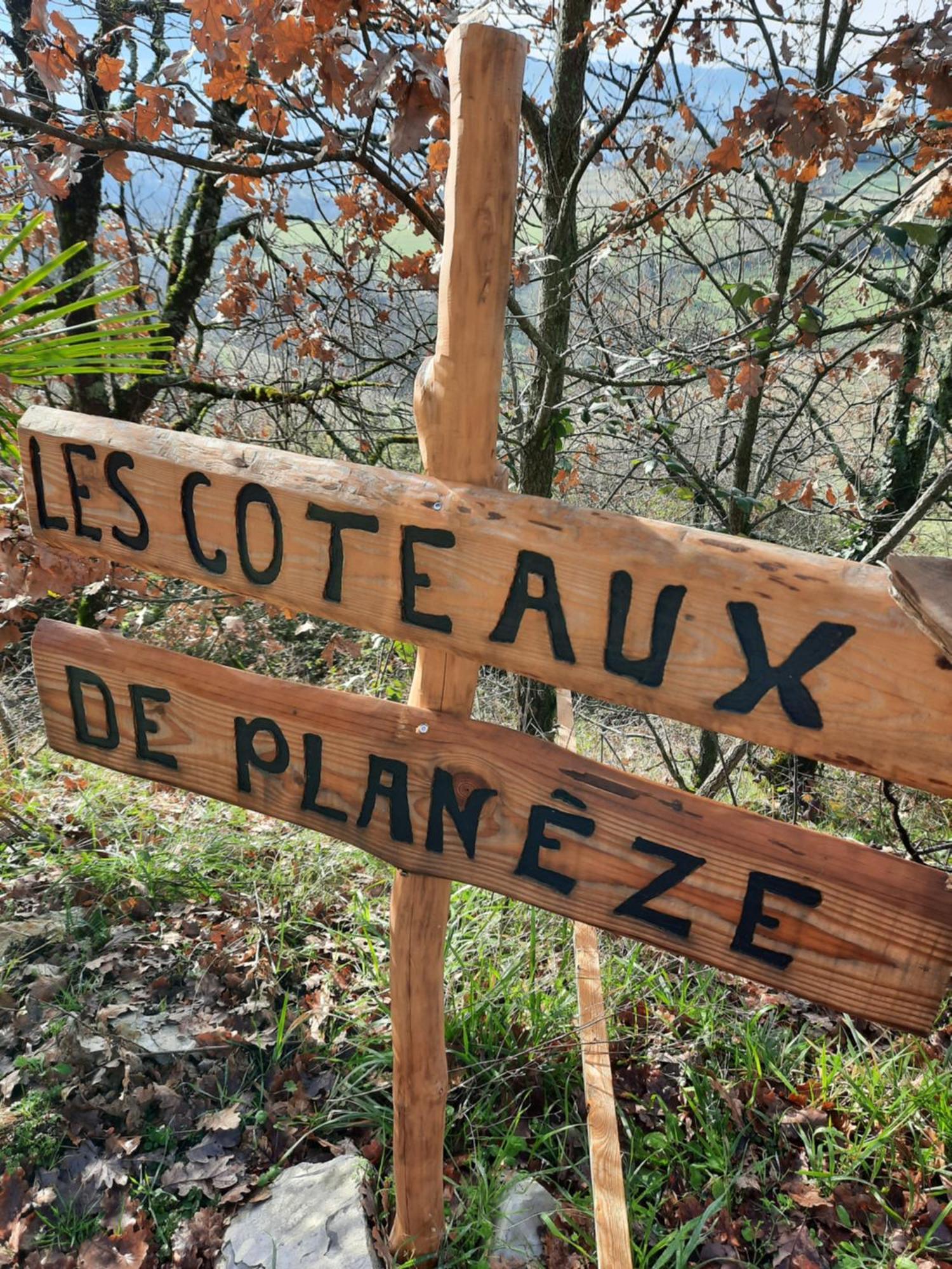 Idéal pour déplacement professionnel! Saint-Laurent-les-Tours Extérieur photo